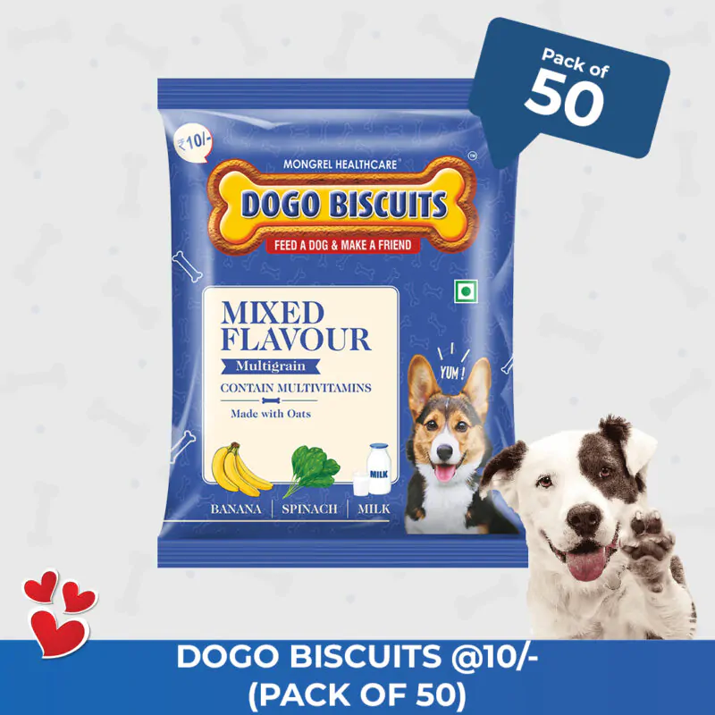10rs dogo biscuit pack of 50