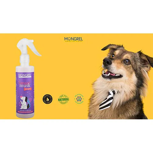 Mongrel Healthcare Smart Musk Dry Bath Waterless Spray Dog Shampoo 250ml