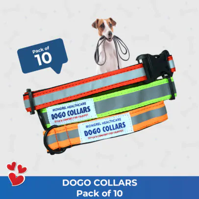 Dogo Reflective Collars Pack of 10