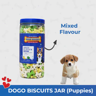 Dogo biscuit jar for puppies