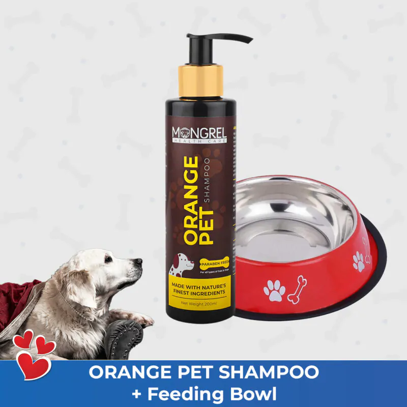 Orange Pet Shampoo with feeding bowl