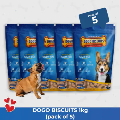 Dogo biscuits pack of 5